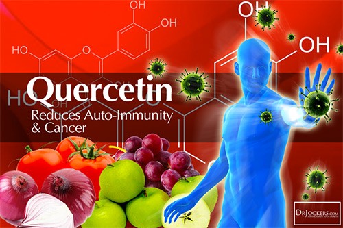 Положительное влияние кверцетина на организм человека. Какие продукты содержат больше всего, возможность покупать добавки на iHerb