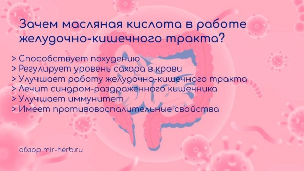 Роль масляной кислоты в работе желудочно-кишечного тракта и ее польза для работы кишечника. Зачем пить масляную кислоту с инулином?