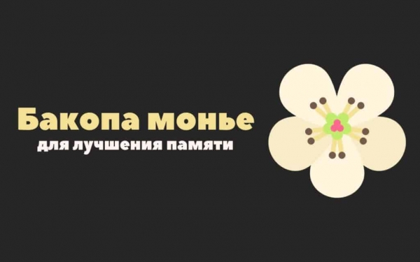 Бакопа Монье: ноотроп для улучшения памяти