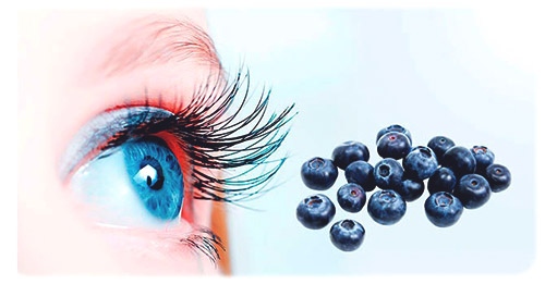Описание комплекса Solgar Blueberry Ginkgo Lutein для поддержки зрения