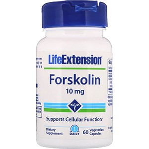 Что такое форсколин? Как это влияет на потерю веса и уровень тестостерона? Применение в бодибилдинге. Обзор качественных добавок форсколина. Где их купить?