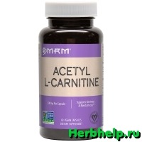 Ацетил L-карнитин