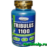 Tribulus