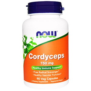 Кордицепс - самый необычный гриб, приносящий здоровье и долголетие. Показания к применению, уникальные свойства