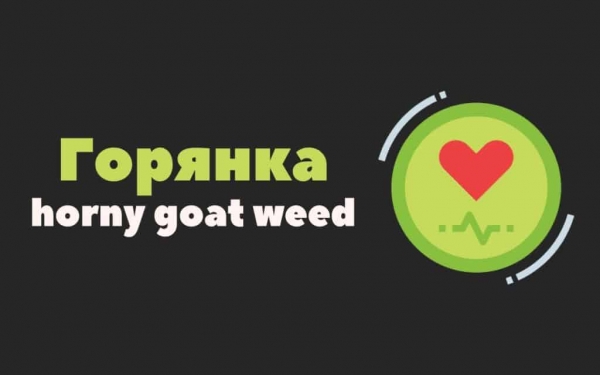 Horny Goat Weed: популярное средство от эректильной дисфункции