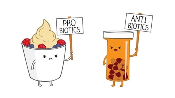 Пробиотики для здоровья кишечника