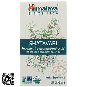 Уникальный травяной шатавари: первая помощь аюрведы для женского здоровья