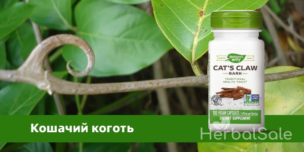 Кошачий коготь на iHerb