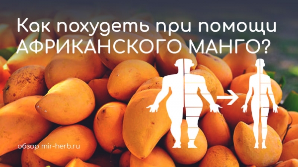 Полезные свойства африканского манго (Ирвиния Габон) для организма. Влияние фруктов на процесс похудания. Примеры добавок на основе манго с iHerb