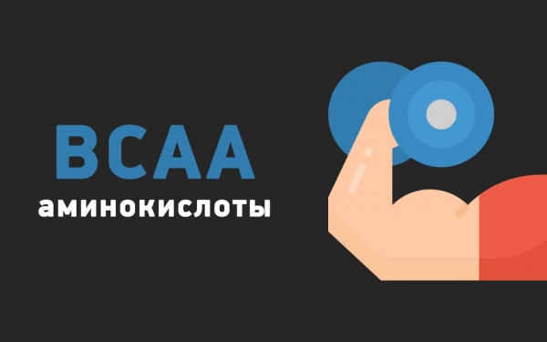 Что такое BCAA? Полезные свойства аминокислот.