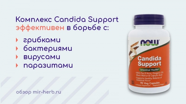 Теперь комплекс поддержки Candida еды. Как добавка помогает бороться с кандидозом? Подробная инструкция и описание состава