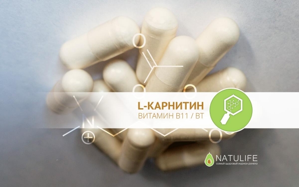 L-карнитин: вся правда о витамине B11