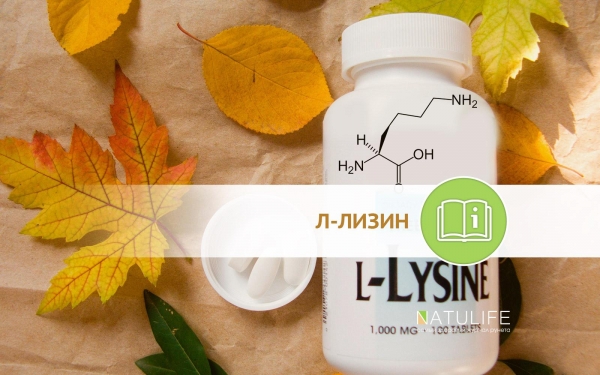 Лизин - биологическая роль и свойства