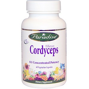 Кордицепс - самый необычный гриб, приносящий здоровье и долголетие. Показания к применению, уникальные свойства