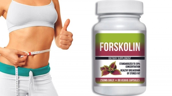 Что такое форсколин? Как это влияет на потерю веса и уровень тестостерона? Применение в бодибилдинге. Обзор качественных добавок форсколина. Где их купить?