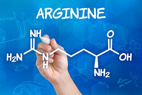 Роль аргинина в здоровье мужчин, женщин и детей. Как аминокислота влияет на наш организм? Когда нужно принимать его дополнительно?