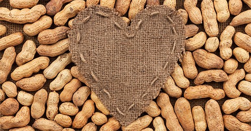 Преимущества арахисовой муки, ее свойства, на что следует обращать внимание при покупке. 5 самых популярных рецептов на его основе