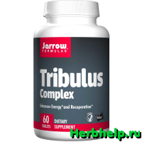 Tribulus