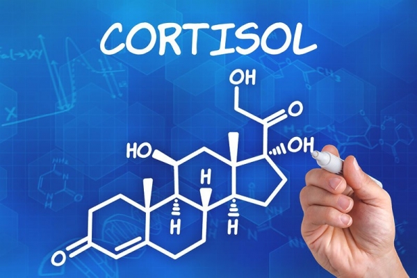 Полное описание комплекса Super Cortisol Support (Супер Кортизол) от компании Now Foods. Изучаем компоненты и их действие на организм. Инструкция по применению. Где купить дешевле всего?