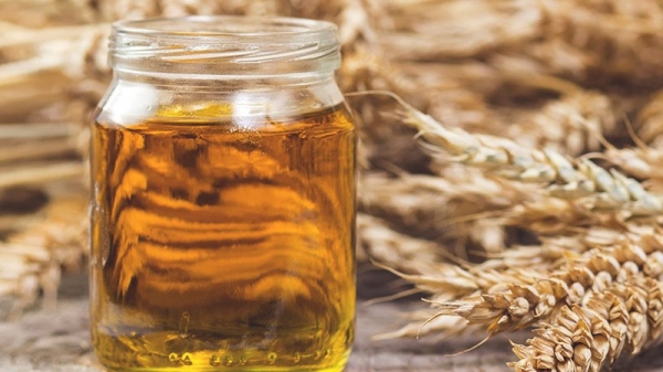 Какие проблемы со здоровьем помогут решить капсулы с маслом зародышей пшеницы? Профилактика болезни. Где купить качественную добавку?