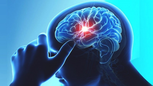 Что такое цитиколин и как это вещество влияет на работу мозга и сосудов?