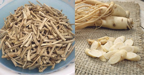Уникальный травяной шатавари: первая помощь аюрведы для женского здоровья