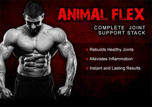 Совместная поддержка с эксклюзивным комплексом Animal Flex от Universal Nutrition