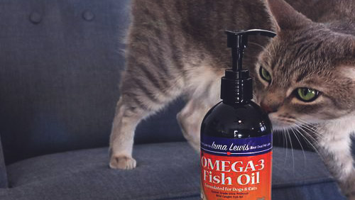 Польза и вред добавок омега-3 (рыбий жир) для кошек. Топ лучших добавок от всемирно известных производителей. Как правильно вводить и рассчитывать дозировку