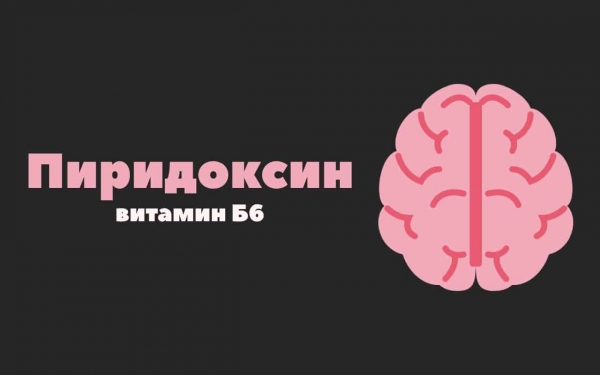 Пиридоксин (витамин B6): для обмена веществ, работы сердца и мозга